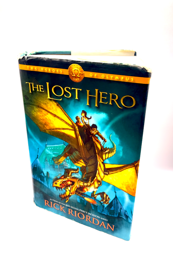 The lost hero book